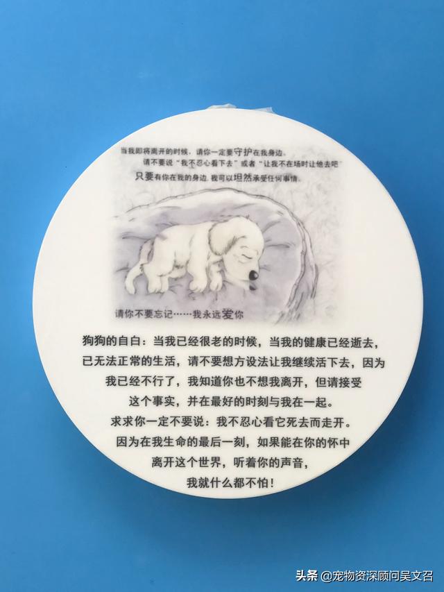 最悲伤的狗:养了很久的狗狗不在了会很难过吧？