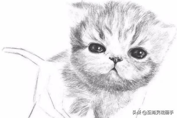 可爱的小猫:如何素描一只可爱的小猫咪？