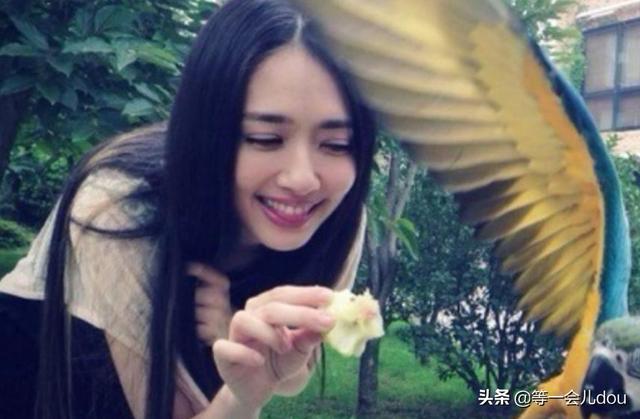 郭碧婷疑成功怀孕:郭碧婷孕期清空向佐有关动态，是婚变实锤吗？