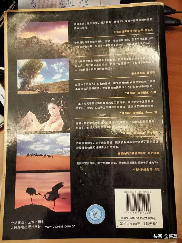 宠物摄影书籍:有哪些摄影作品书籍能够提高审美和摄影技巧？