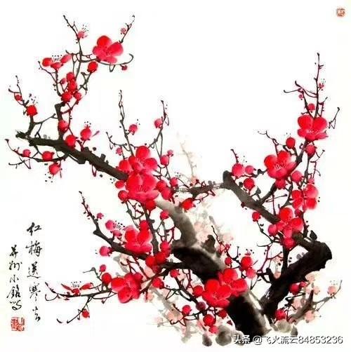 你是否知道孟浩然《春晓》其实是一首悲鸣的诗？你真的理解了这首诗的悲情含义吗？