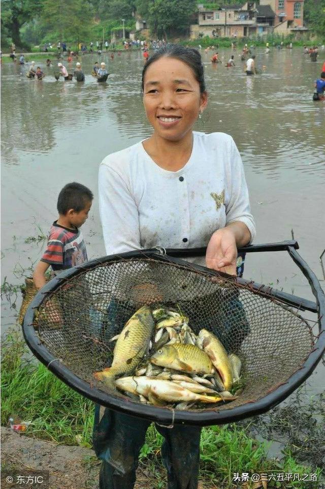 伏尔加河的鱼的个人空间:多长时间不喂鱼，鱼没事？ 伏尔加河鱼种类