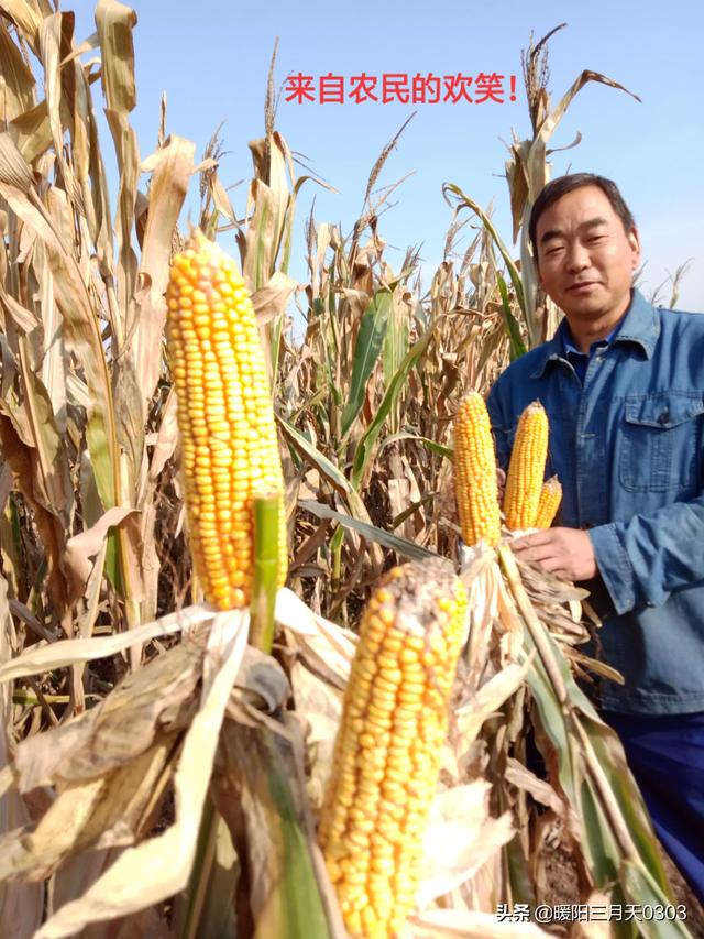 农村俗称*闰四月*吃树叶,金鼠年闰四月老农为啥害怕呢？