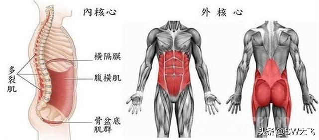 有哪些相见恨晚的运动常识