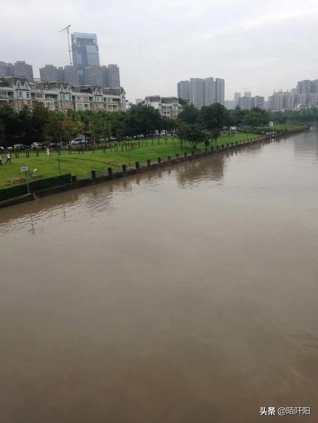 萌狗俊介尿液有泡沫:俊介犬拉肚子吃狗粮拌酸奶 “泡沫尿”是什么原因导致的？
