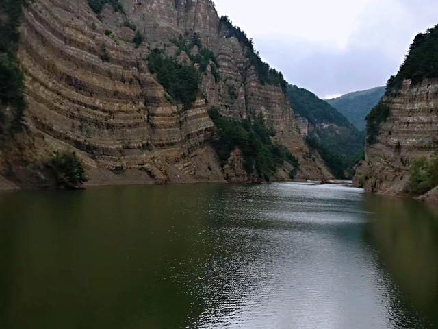 白尾鸢视频:白尾鸢 鹰、隼、鸮、雕、鸢、鹞、鸠有何区别，为何起的名字这么多？