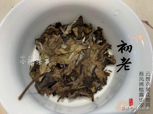 老白茶的好处,银针和老白茶有什么区别？