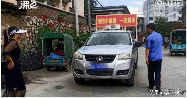 犬打:把家里的泰迪小狗给揍了，它两天没吃东西了该怎么办？