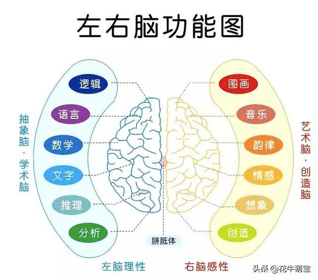 呜莎(呜莎呜莎性格测试)