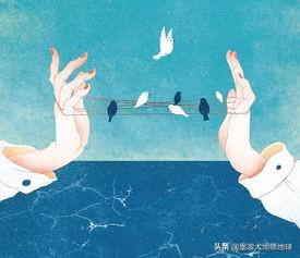 猫岛:请说说日本猫岛的发展史？