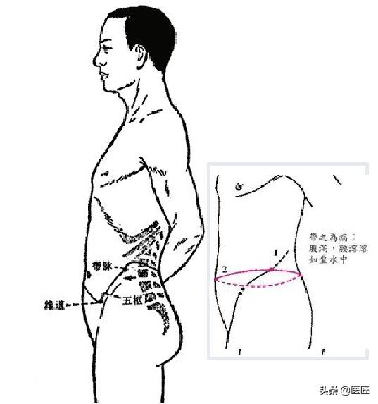 带脉在哪里:肚脐的去湿气按穴位在哪？