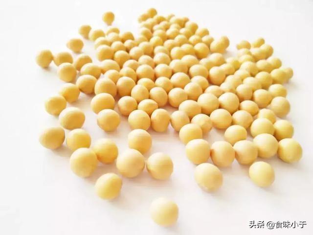 黄豆的生长过程记录图(埋在花盆里的黄豆多长时间见效果)