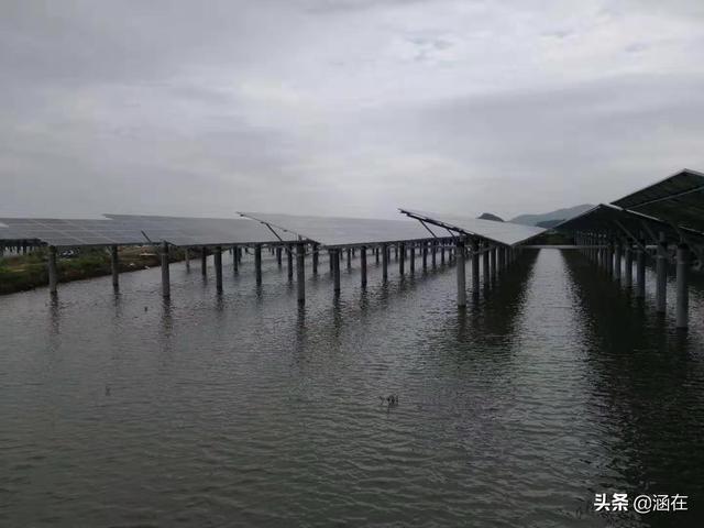 唐山小香猪养殖场:农村养殖什么不愁销路呢？