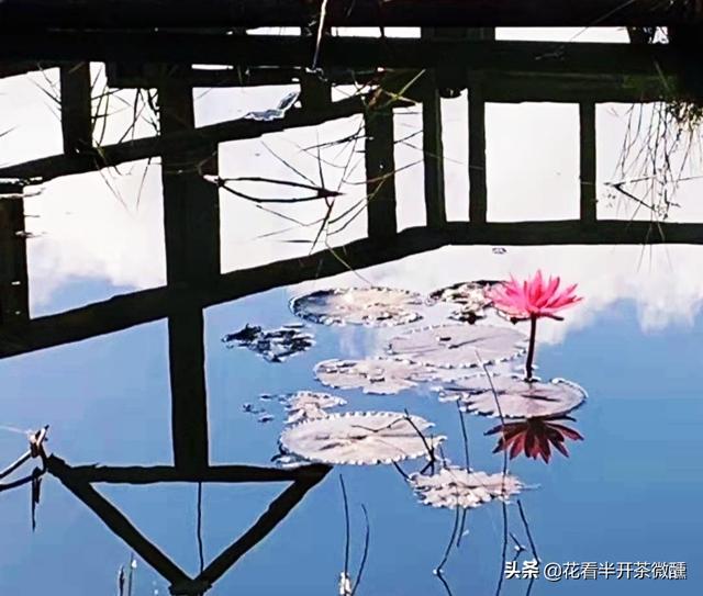 王宫风云:古代妃嫔们被打入冷宫，太监们都想去伺候，是真的吗？为什么？