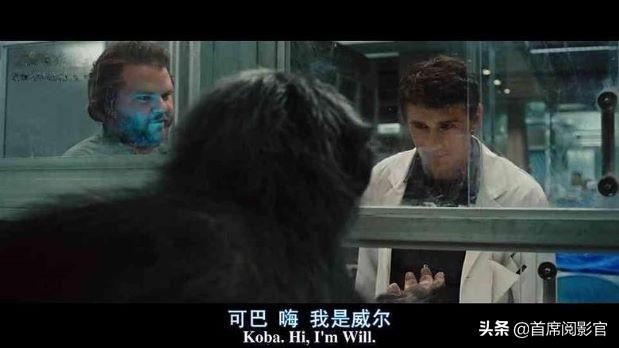 猩猩崛起电影:《猩球崛起》这部电影好看吗，有什么特点