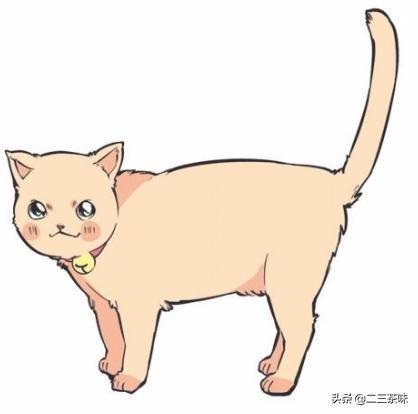 猫的尾巴,猫会不会知道尾巴是它自己的？