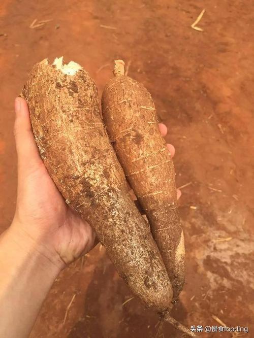 非洲人一般都吃什么呢？插图94