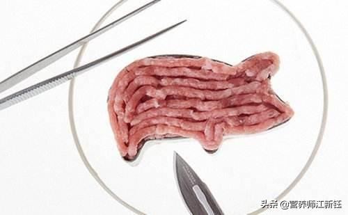 你认为“人造肉”是我们饮食的未来吗？