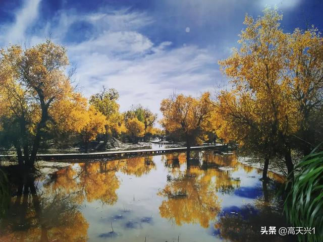 不会真有人当舔狗吧:一个女生心甘情愿的当舔狗是不是特别卑微？