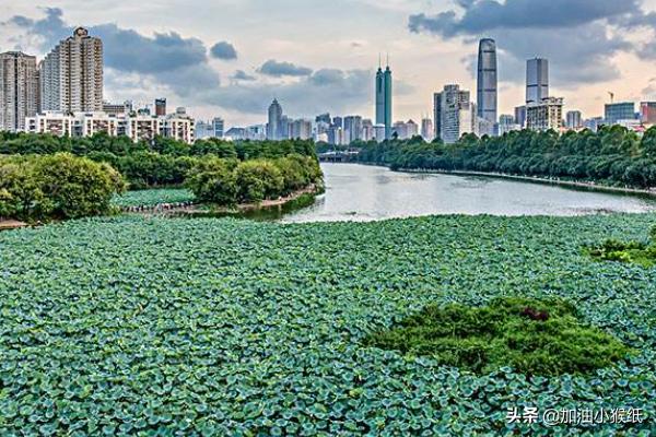深圳有哪些好玩旅游景点？