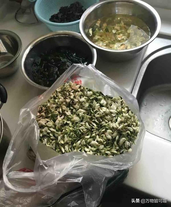 洋槐:洋槐树 过去的人们为什么爱采食洋槐花？你吃过洋槐花吗？
