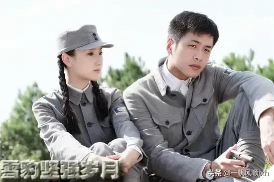 电视剧雪豹剧情介绍:如何评价【雪豹】这部电视剧？为什么有这么多人看？