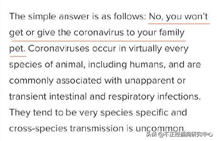 人会携带犬冠状病毒么:假如人得了新型冠状病毒会传染给家里的猫猫狗狗吗？
