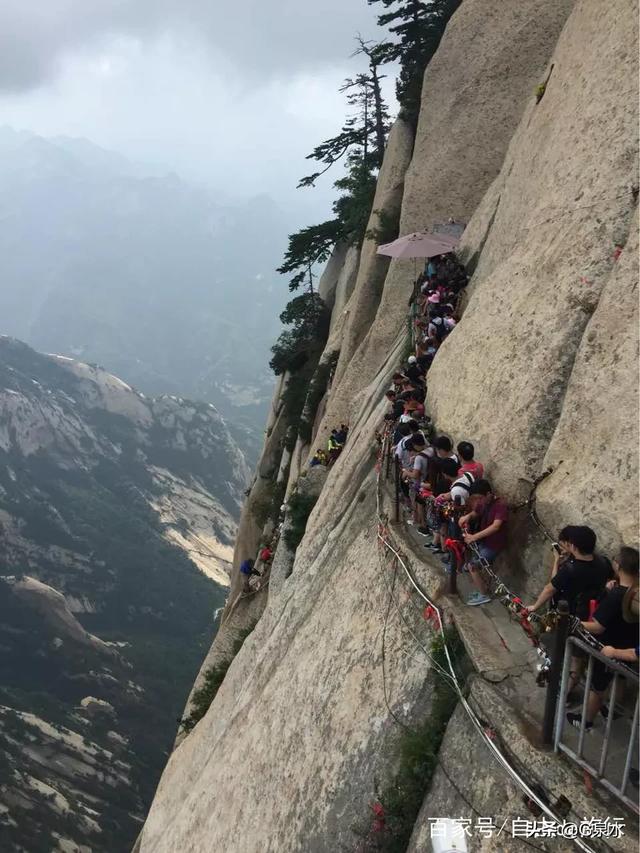 今年喜马拉雅山帝王花图片:请推荐五座你去过的山，五座你最想去却未去过的山？
