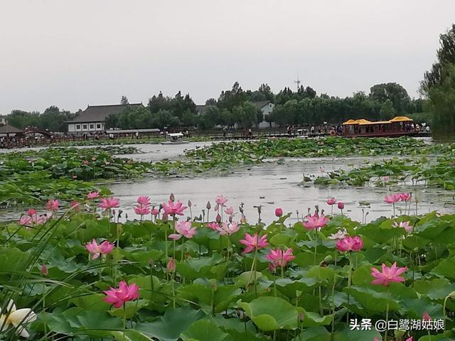 《静夜思》一诗作者思念家乡的什么,发挥想象写一写？