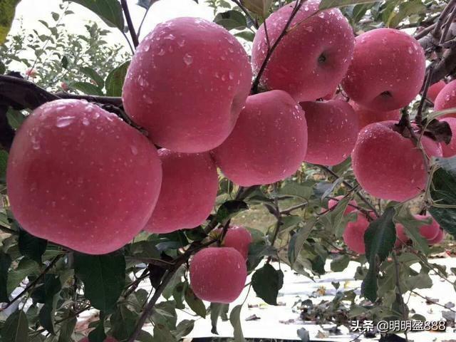 炒股为什么不建议满仓买入卖出？插图14