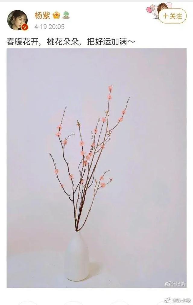 杨紫张艺兴:杜华点赞杨紫张艺兴在一起，这是好事将近，还是蓄意报复？
