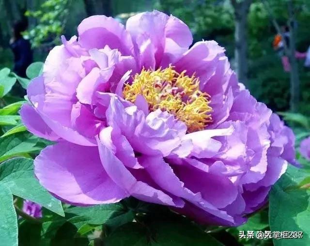 婚礼闹公公儿媳妇,儿媳妇是否可以拒绝？