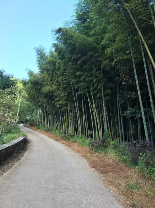 电脑上灵异事件:至今为止，你们有听到或者见到过哪些匪夷所思事情？