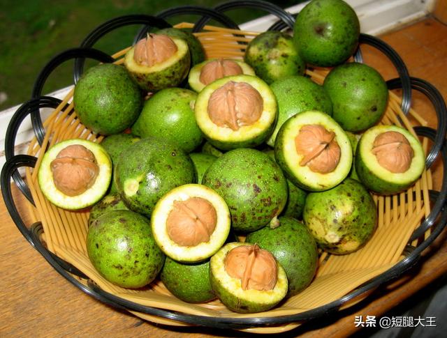 鲜核桃,鲜核桃和干核桃有多大差别呢？