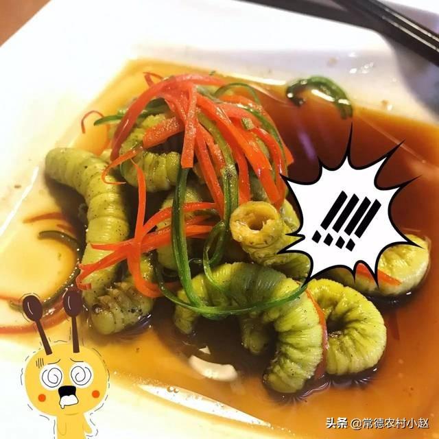 最大猪儿虫:猪儿虫表情包 世界上最大的虫是什么虫？