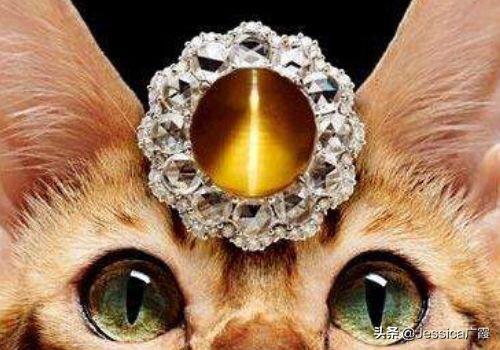 真正的猫眼石图片，什么是猫眼石很珍贵的东西吗