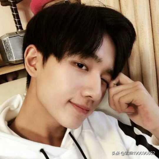 成毅照片:为什么有人说成毅和李宏毅长的很像？