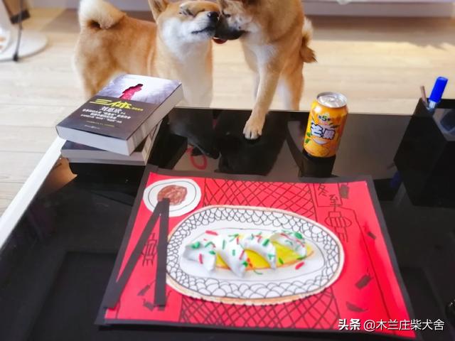 宠物餐具问卷调查:宠物狗食盆材质如何选择？