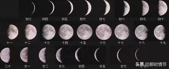 鼠图片:十二生肖是我们农历年的，为什么阳历新年会出现鼠的图片和文字