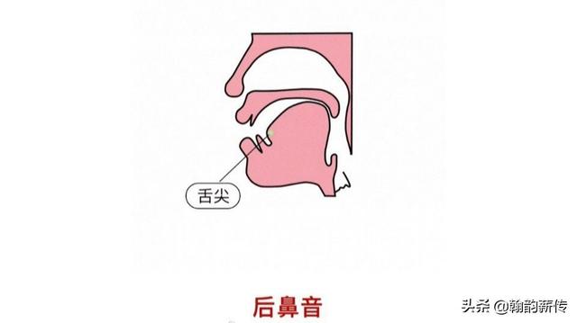 前鼻音和后鼻音有哪些区别？
