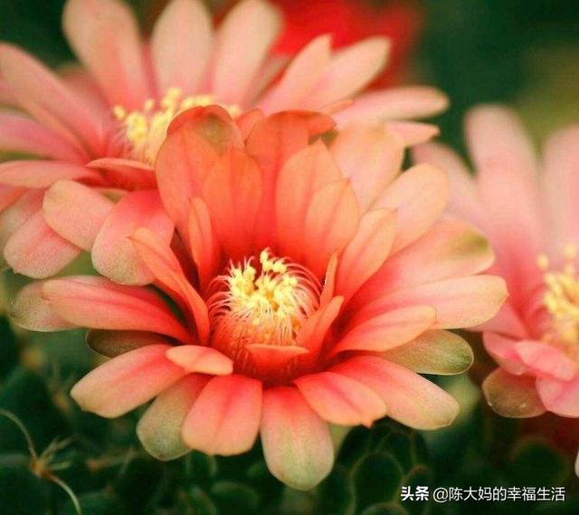 微信网名男生成熟稳重三个字:说一说，你心中既帅又有演技的男<a href=https://maguai.com/list/19-0-0.html target=_blank class=infotextkey><a href=https://maguai.com/list/19-0-0.html target=_blank class=infotextkey>演员</a></a>排行榜