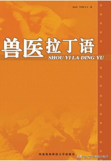 头条问答 为什么拉丁语变成了一种死的语言 19个回答