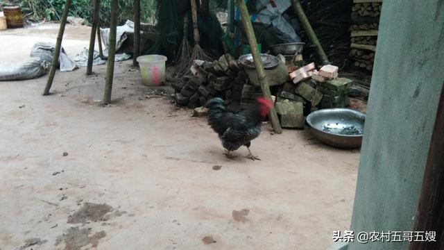 你们家乡过“冬至”日吗？冬至都吃什么好吃的？插图11