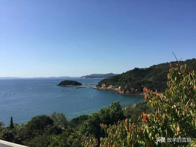 为什么公司不喜欢管理人员去干活,而私人老板却拼命使唤员工干活？