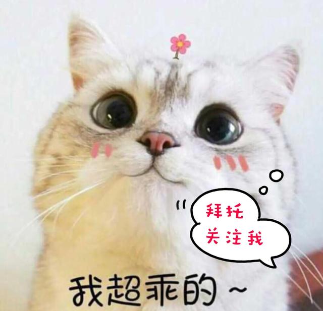奇异宠物:你们觉得那只神奇宝贝最可爱呢？