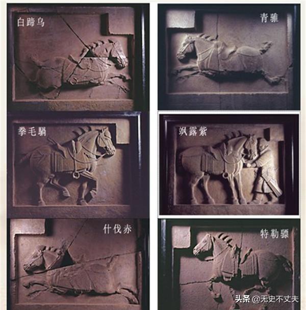 昭陵六骏:李世民昭陵六骏现在是真的吗？李世民和六骏有怎么样的故事？