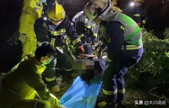 狗狗秘闻第二季百度云:一只低智商的狗狗会有哪些行为？ 狗狗秘闻免费完整版