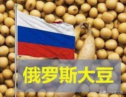 中国为什么不去俄罗斯租地种大豆？插图14