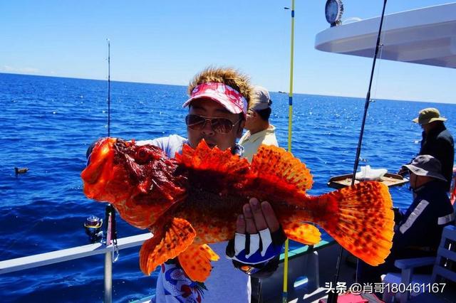 各位海钓高手,海钓时用什么鱼饵好呢？