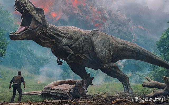 头条问答 - 霸王龙的天敌是什么?(67个回答)